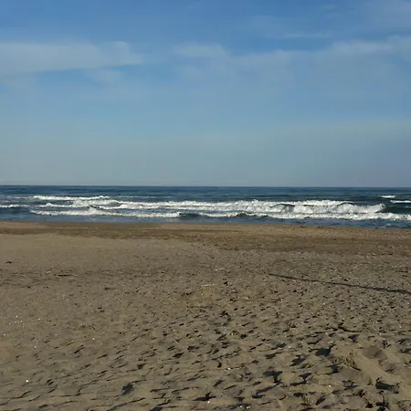 Le Cosy - Pour 2 Personnes A 30m De La * Canet-en-Roussillon