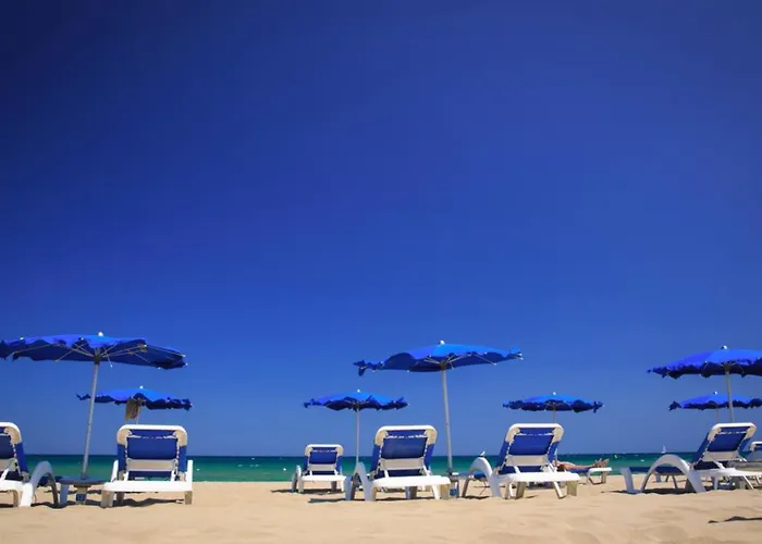Le Cosy- 4 Personnes à 30m De La Plage, Wifi Fibre Clim Netflix * Canet-en-Roussillon